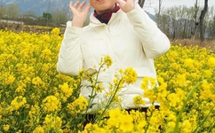 新不夜城综合论坛